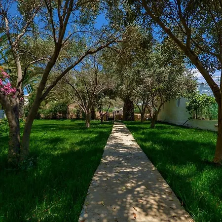 Studios Vrettos Beachfront Hotel Apartment Plaka (Naxos)
